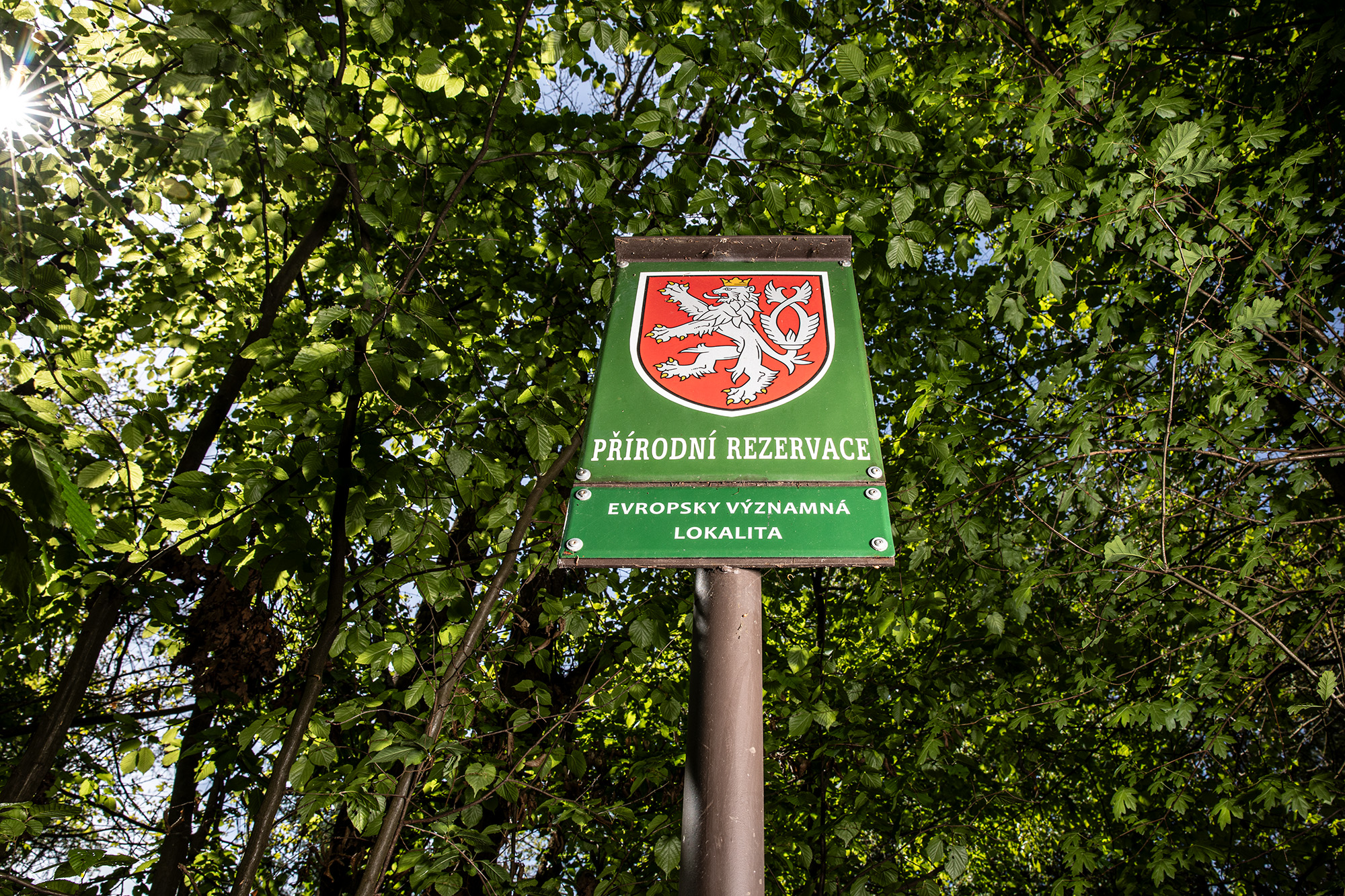 Fallenka