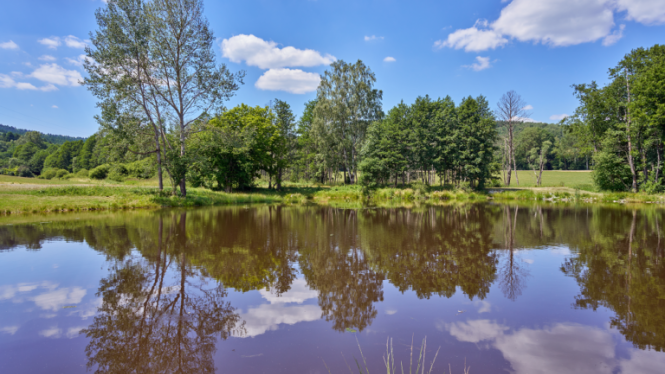 mzp_voda_rybnik_Bezdekov u Tremesneho
