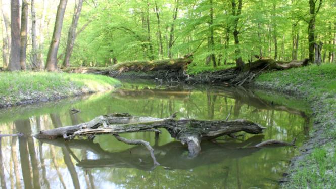 mzp_mokrad_156_5610PralesSoutok