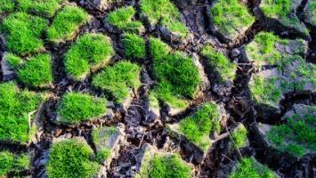 Depositphotos_77486734_original Cropped.jpg