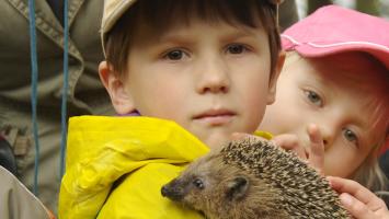 lesni_skolka_2 Cropped.jpg