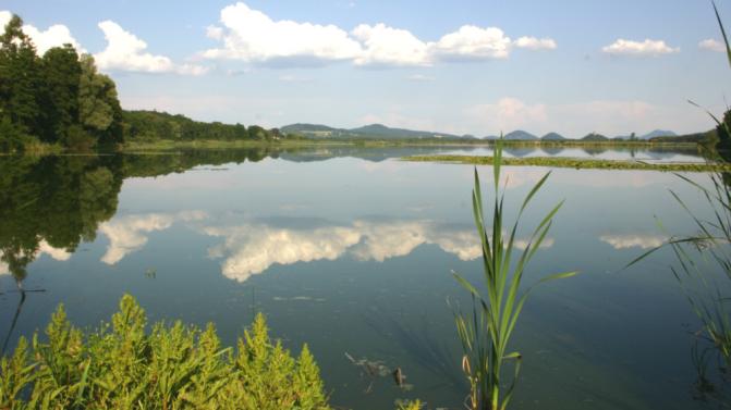 mzp_mokrad_129_2970NovozámeckýRybník