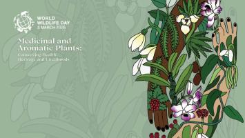 Světový den divoké přírody