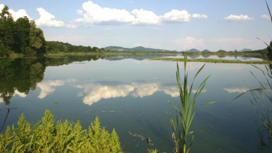 mzp_mokrad_129_2970NovozámeckýRybník